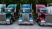 truck lineup parked